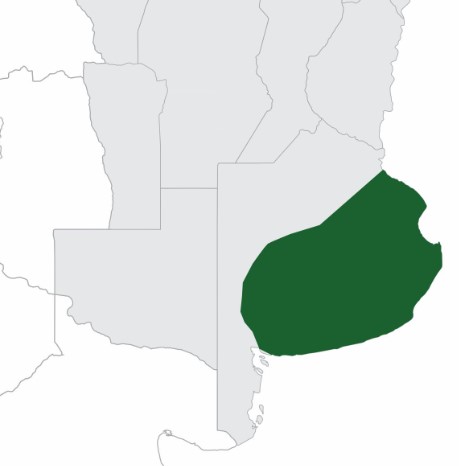 Mapa de cobertura